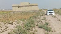 متر الزراعي في الدورة وصل إلى مليونين