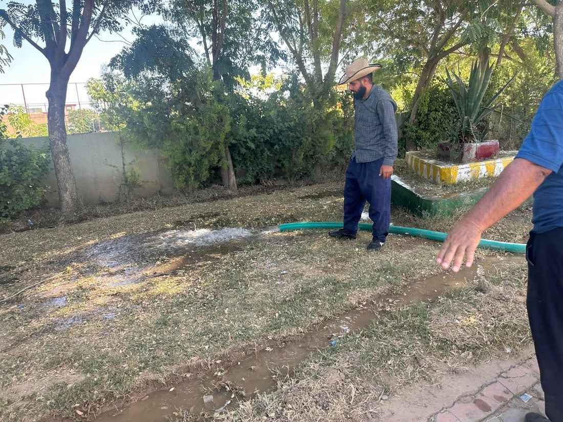 كفری خۆی سه‌وزتر ده‌كات