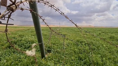 الأنبار “تستلف” الغزلان من السماوة وديالى لإحياء أكبر محمية في العراق سرقها داعش (فيديو)