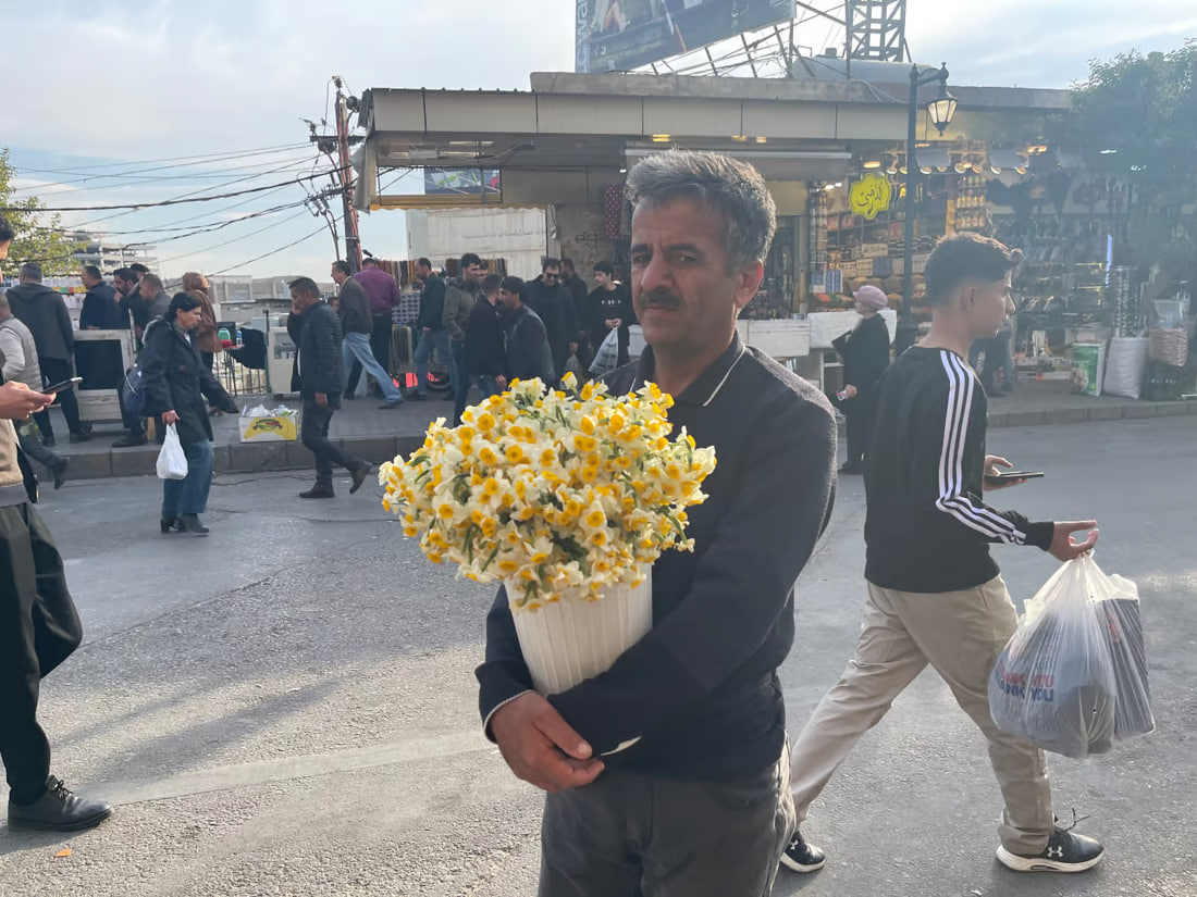Iranian narcissus flowers from Shiraz enter Sulaymaniyah markets