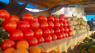 أسبوع “ناري” في أسواق المثنى.. أسعار الخضراوات إلى الضعفين