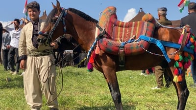 لە بناری چیای کارۆخ 35 ئەسپسوار ئەسپی خۆیان تاودا