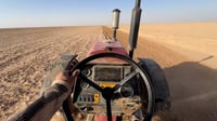 ضجيج في صحراء العراق.. الماكنات تحرث وتبذر رغم أن 