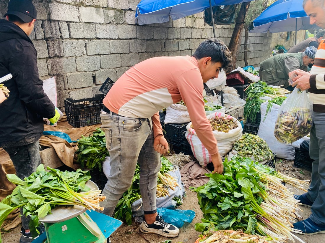 له‌ سۆران گژوگیاى به‌هاره‌ ده‌كرێته‌ فێستیڤاڵ