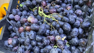 خۆیان ترێى باشیان هەیە؛ هاوردەکردنى لە دهۆک قەدەغەکرا