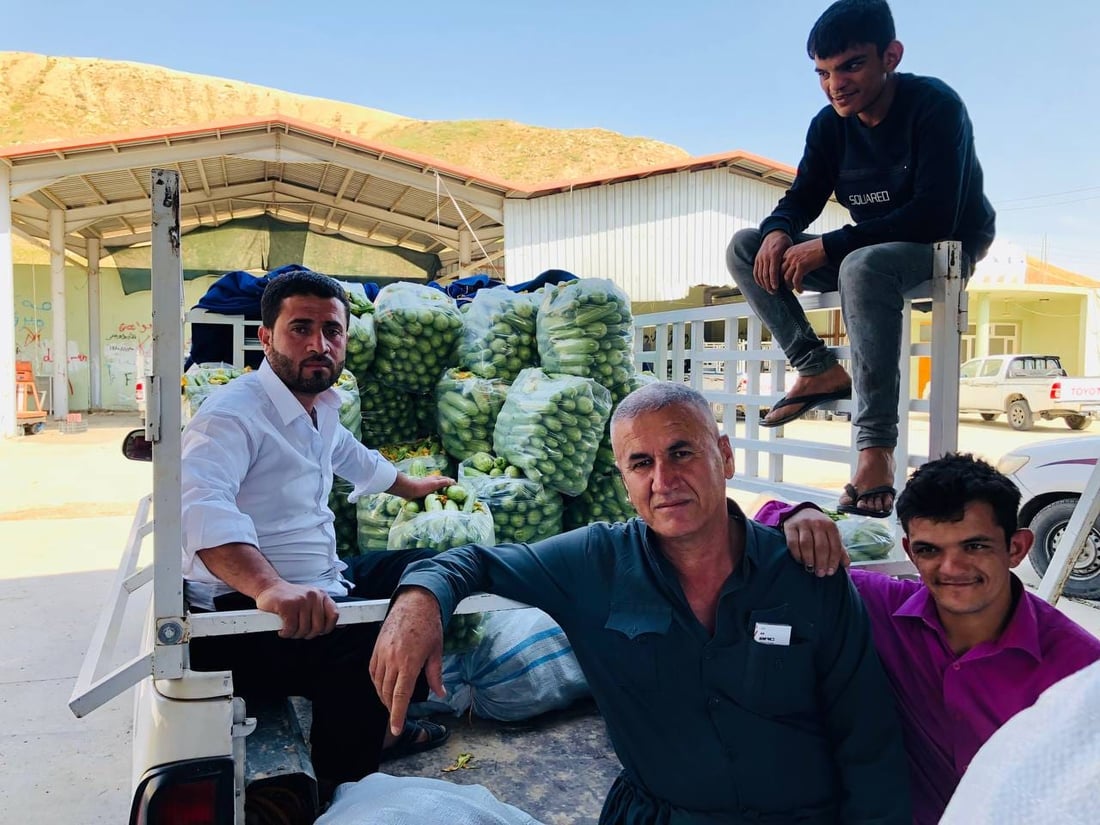 عه‌لوه‌ى ته‌قته‌ق پڕ له‌ به‌رهه‌مى خۆماڵى جوتیاران بووە