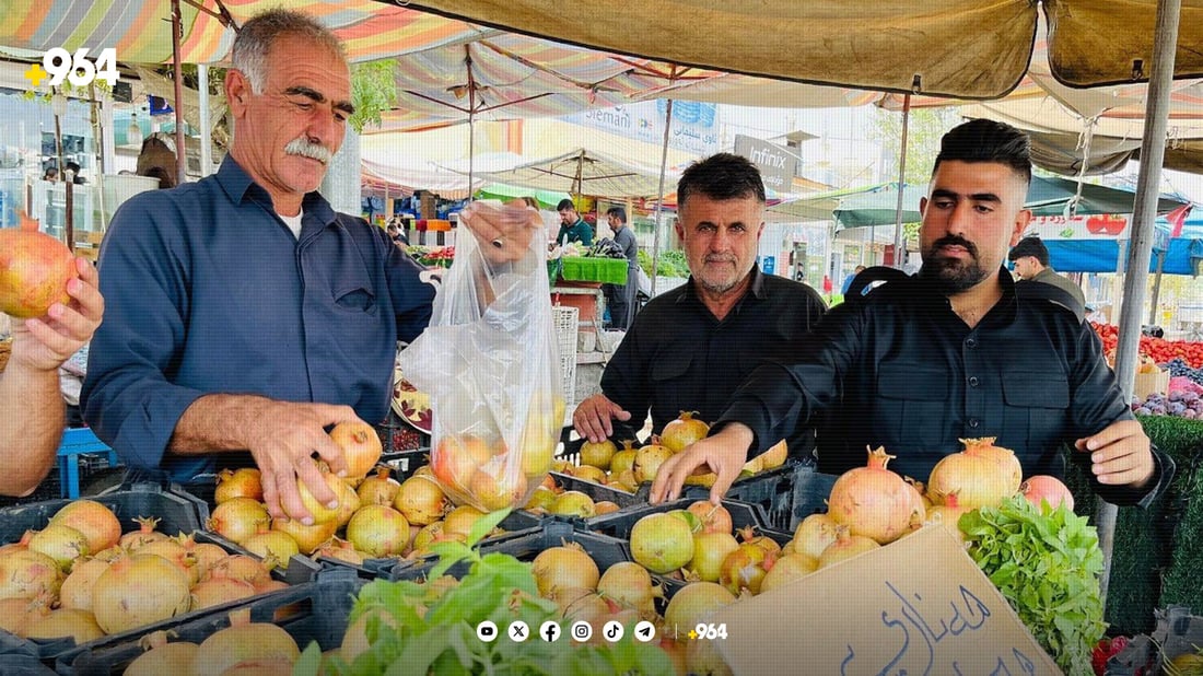 زەڕایەن نۆبەرەی هەناری هێنایە بازاڕەوە