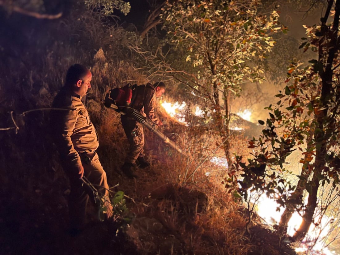 <?php echo get_the_title() ?>