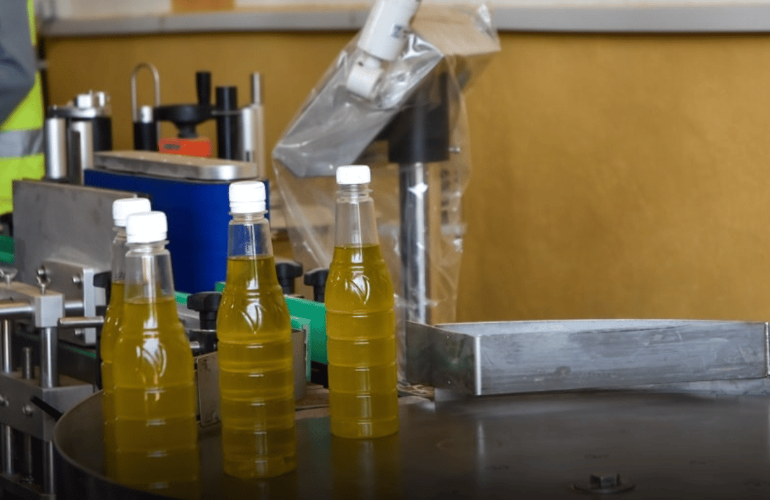 انتظروا زيت زيتون “حديثة”.. المعصرة جاهزة والفلاحون يراهنون على الشجرة المباركة