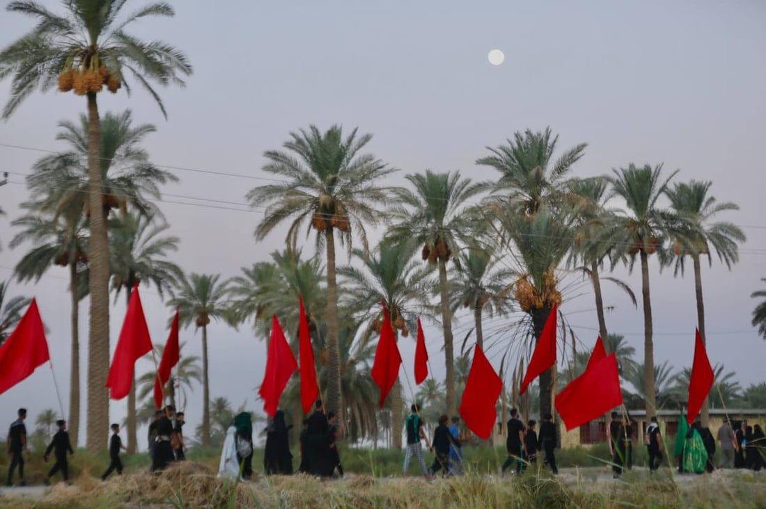 صور من بساتين بابل.. حشود الزائرين تشق طريقها نحو كربلاء مشياً على الأقدام