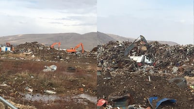 کۆمپانیایەک 10 گەڵابەی بە شۆفێرەکانییەوە دەوێت