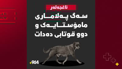 بەرێوەبەرێک ژیانی خۆی دەخاتە مەترسییەوە لە پێناو قوتابییەکانی