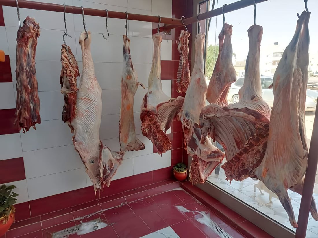 ڤێتێرنه‌رى دوزخورماتوو 15 قه‌سابخانه‌ى سزادا