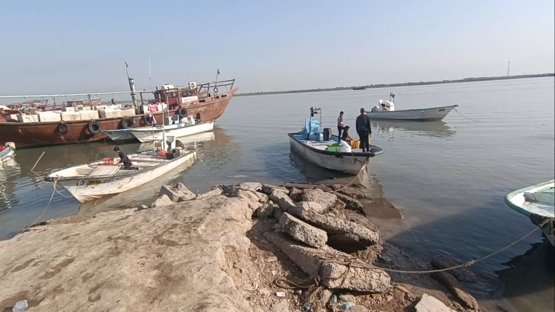 صور صباحية من مزاد الفاو: قائمة بأصناف وأسعار السمك اليوم الاثنين