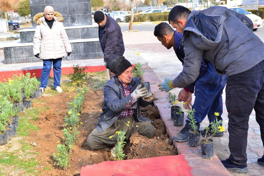 لە هەولێر 700 گوڵی تایبەت چێنران و هەڵمەتێكیش بەڕێوەیە