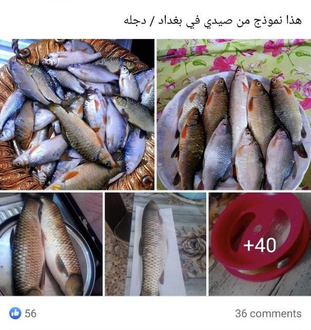 جندي يجمع 100 ألف عراقي للحديث عن صيد السمك وصيانة القوارب (مقابلة)