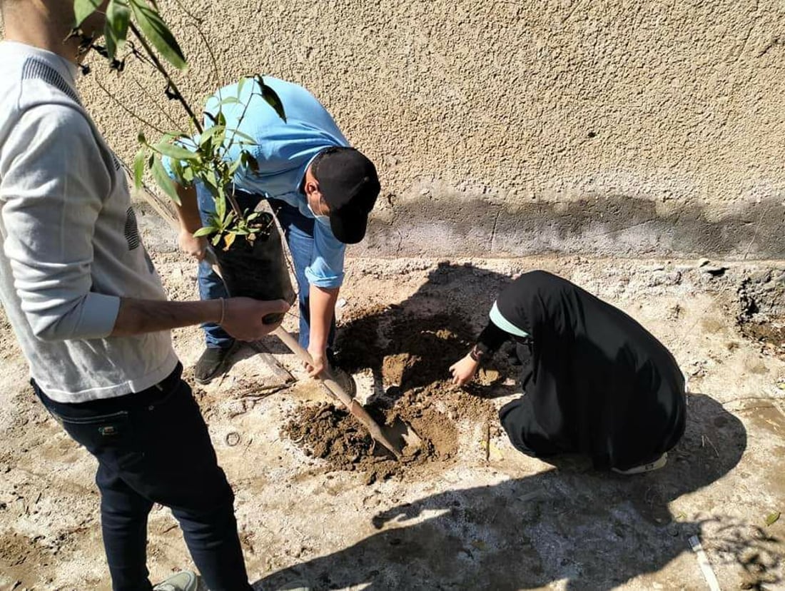 صور: متطوعون ينظمون حملة لتشجير مدارس المثنى بالتعاون مع اليونيسف
