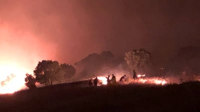 Wildfire Burns 1,000 Dunams in Penjwen Highlands