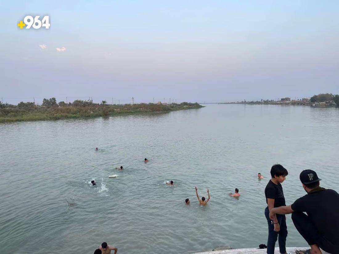 964mediaصورة من منصة (شبكة): 