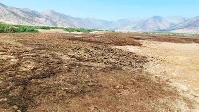 پاشماوه‌ى كێڵگه‌یه‌كی په‌له‌وه‌ری دانیشتوانى گونده‌كانى پشده‌ره‌ ره‌قه‌ى هه‌راسان كردووه‌