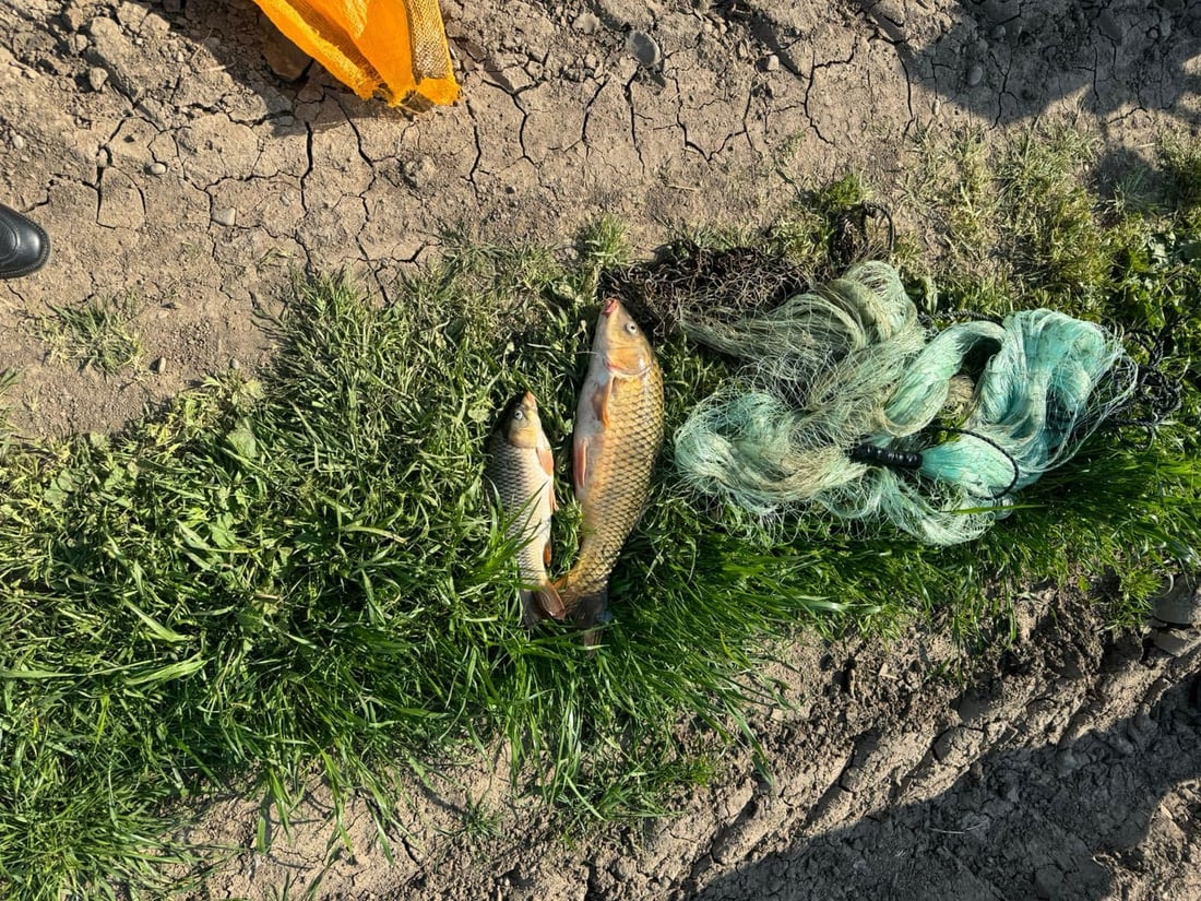 Kurdistan Region enacts seasonal fishing ban to protect breeding season