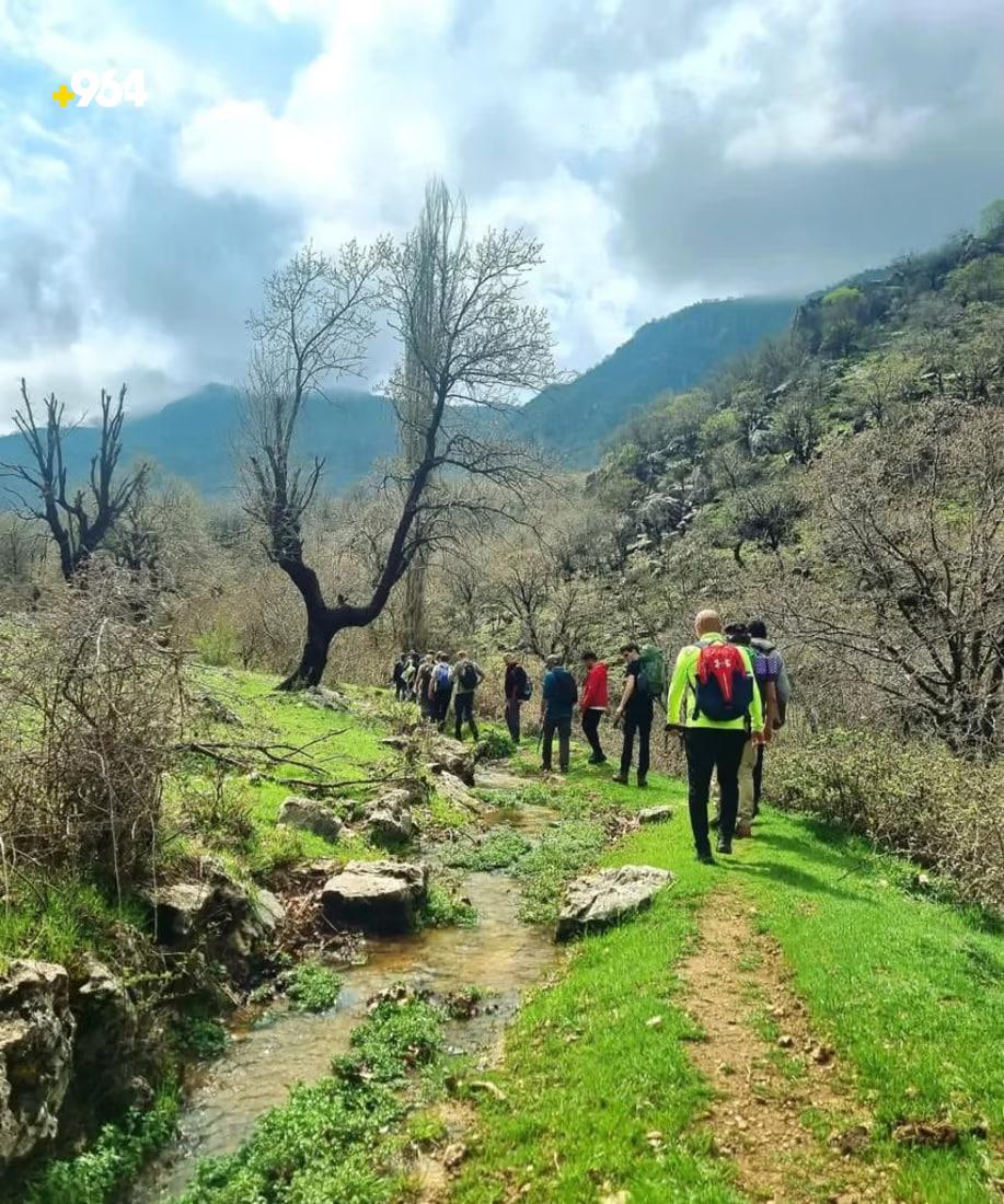 964mediaصورة من منصة (شبكة): 