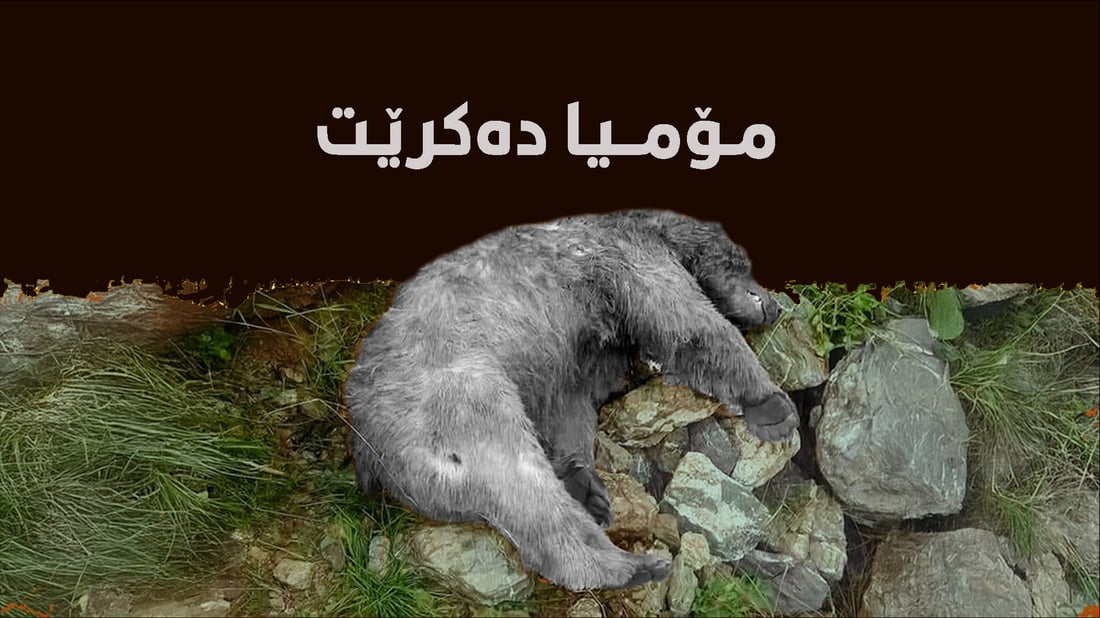 شاره‌وانى بنارى قه‌ندیل ورچه‌ كوژراوه‌كه‌ راده‌ستى حكومه‌تى هه‌رێم ده‌كات