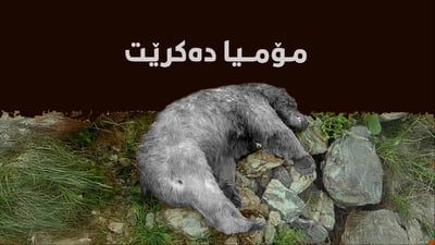 شاره‌وانى بنارى قه‌ندیل ورچه‌ كوژراوه‌كه‌ راده‌ستى حكومه‌تى هه‌رێم ده‌كات