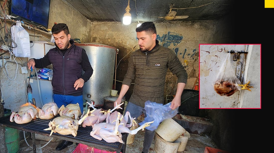 بۆ جه‌ژنى له‌دایكبوون و چاكبوونه‌وه‌ى نه‌خۆش مریشك ده‌درێته‌‌ خێزانه‌ كه‌مدرامه‌ته‌كان