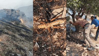 نزیکەی 1300 دۆنم زەوی و 1500 دار لە سنووری سلێمانی سووتان