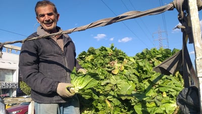 انخفاض الدولار ينعكس على أسواق الحرية.. “البتيتة بربع.. والخس 2 بألف”