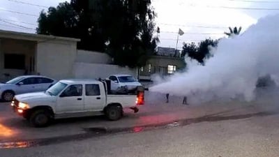 لە بەردەڕەش هەڵمەتێکی 25 رۆژە بۆ لەناوبردنی مێش و مەگەز دەستپێکرد