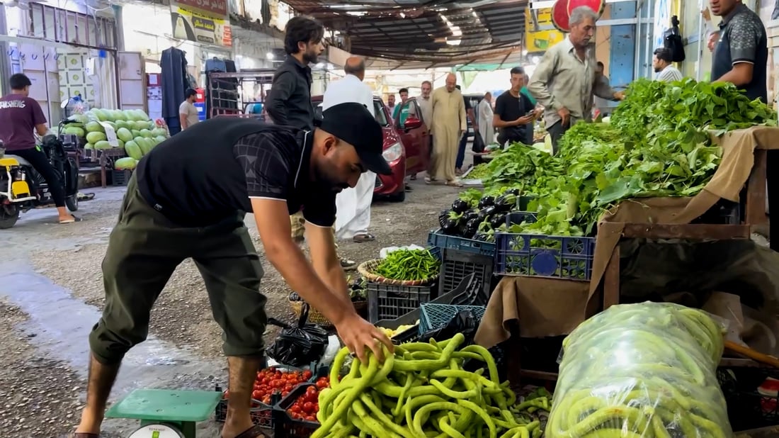 Farmers in Hit supply dawn-harvested crops to local markets
