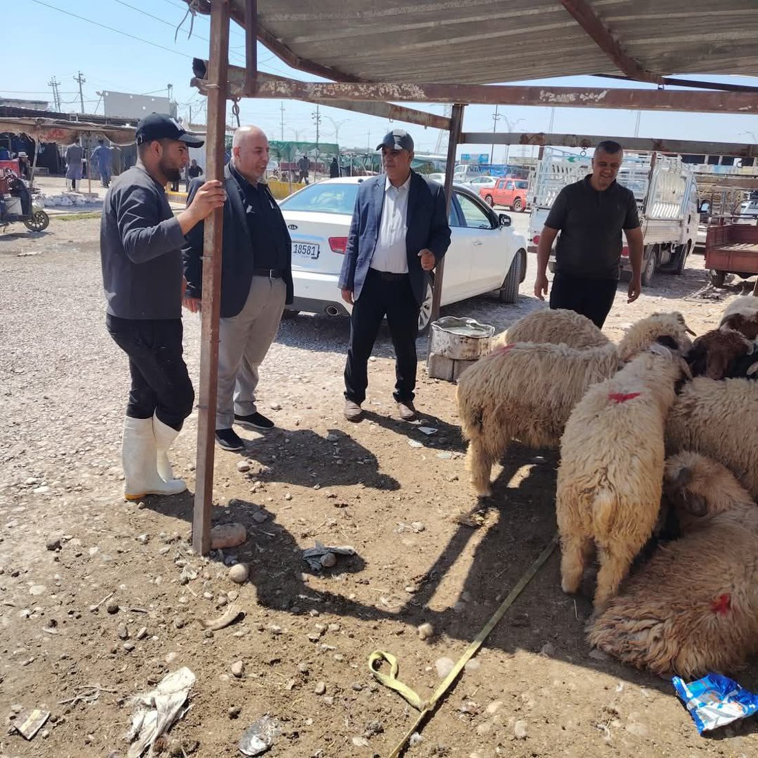 تاى خوێنبەربوون کۆتایى بە گۆشتفرۆشتنى سەر شەقامەکان دەهێنێت