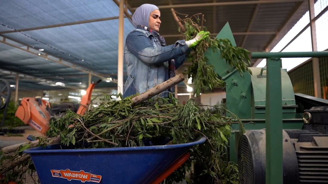 Anbar agricultural engineer turns plant waste into tons of organic fertilizer