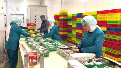 هەناردەی بەرهەمی کارگە بچووکەکانی هەرێمی کوردستان بۆ عێراق دەستپێدەکاتەوە