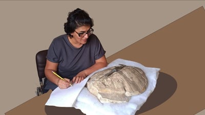 له‌ رۆژئاواى كوردستان پاشماوه‌ى به‌به‌ردوبووى كیسه‌ڵێكی ئاويى دۆزرایه‌وه‌