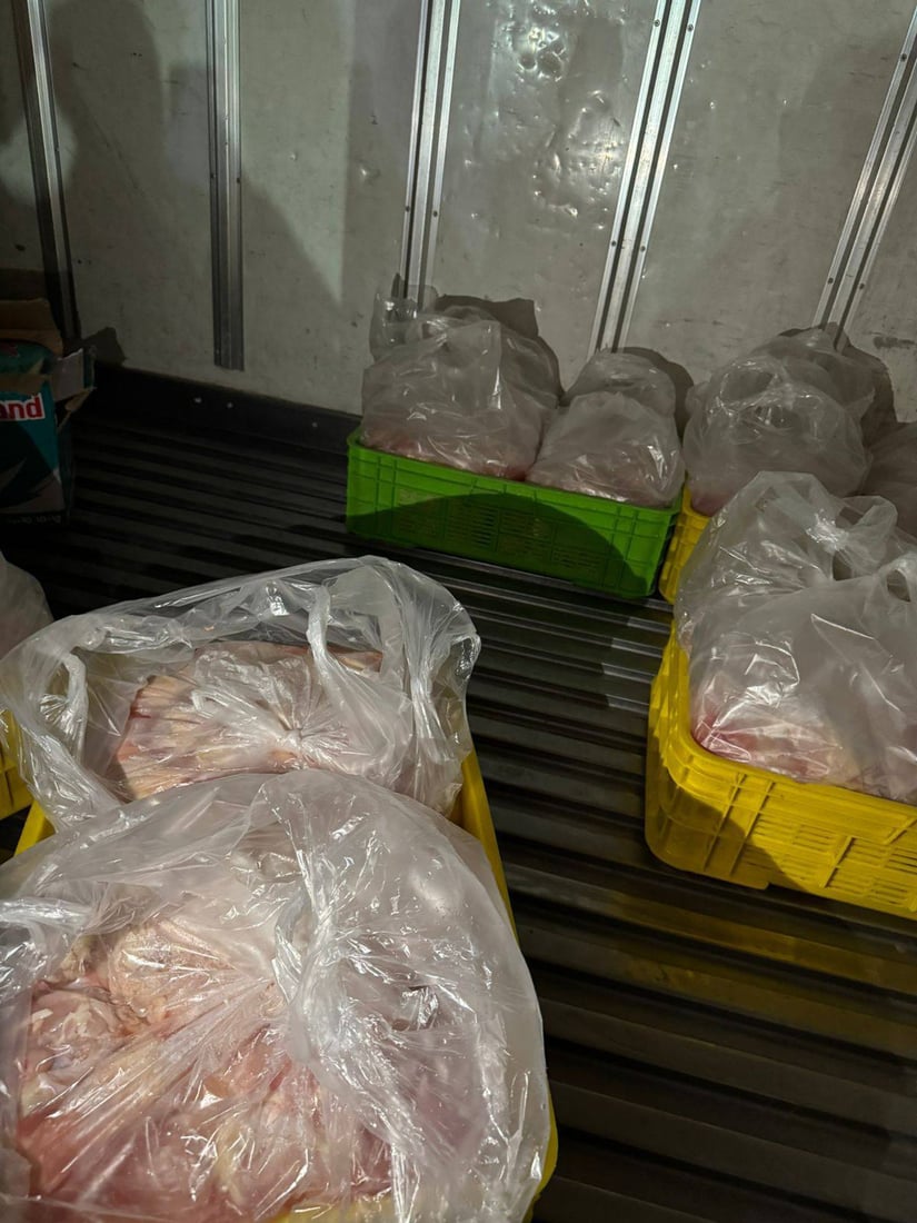 200 کیلۆ سینگی مریشکی بەڕازیلی لە بەردەڕەش دەستی بەسەرداگیرا