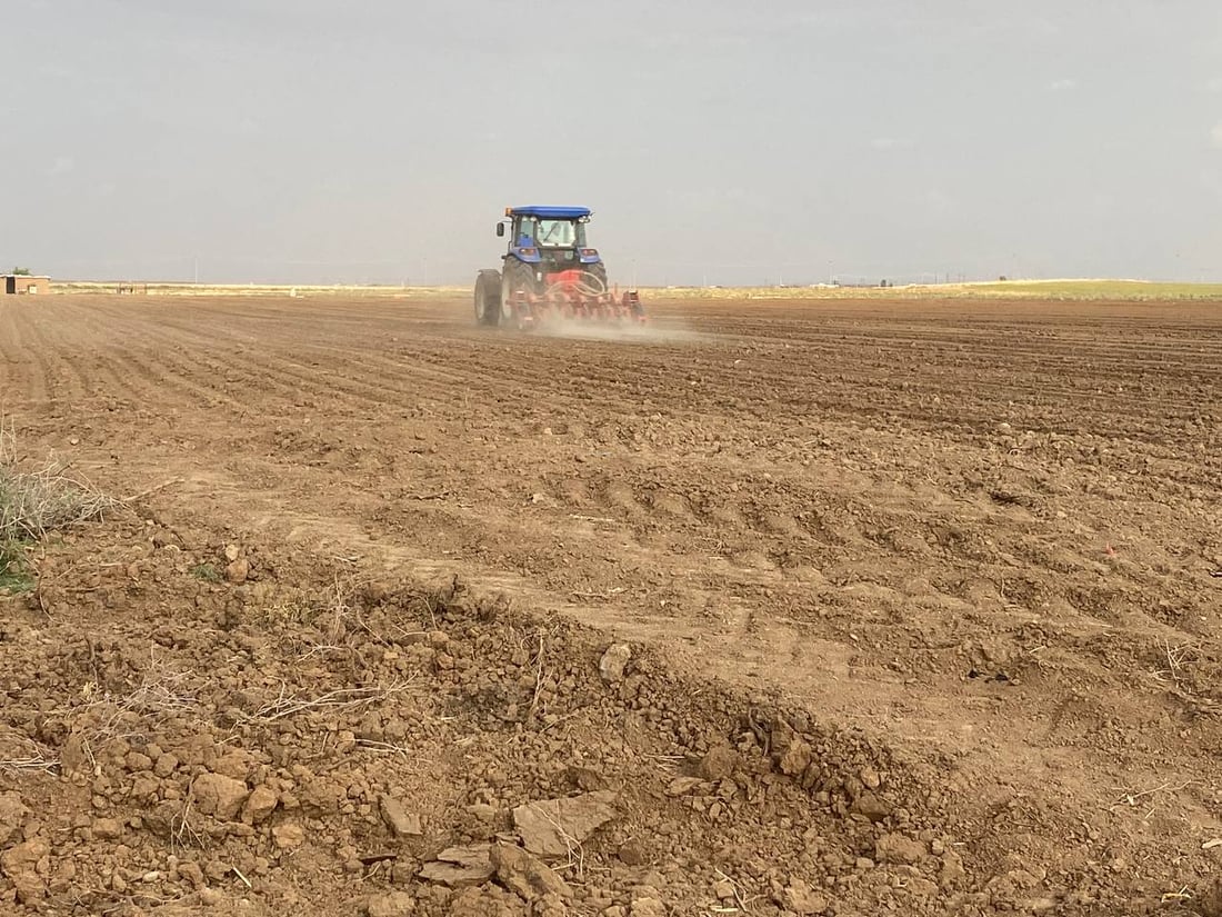 شاهد: ربيعة “تطبع” البصل الأمريكي والهولندي بعد جولة بـ “الرفاس”