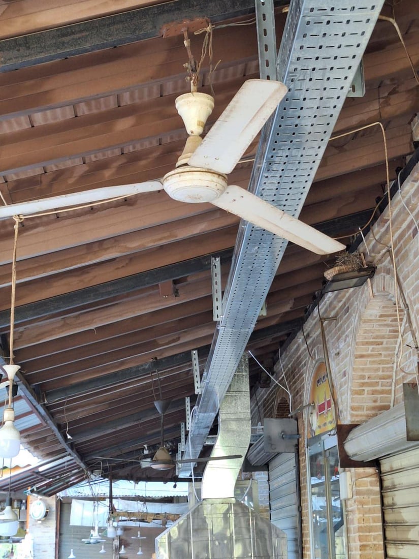 کارەبای بەلەدیەکەی سلێمانی بە تەکنیکی جوان رێکخرایەوە