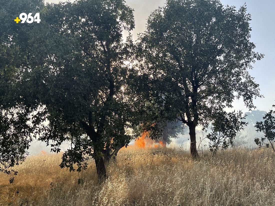 مانگی رابردوو شارباژێڕ پشکی شێری بەرکەوت لە ئاگردا