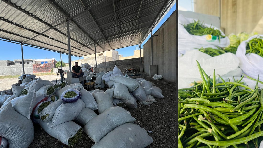 تەق تەق؛ خۆی وەک نیشتمانیی لۆبیا دەردەخات