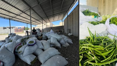 تەق تەق؛ خۆی وەک نیشتمانیی لۆبیا دەردەخات