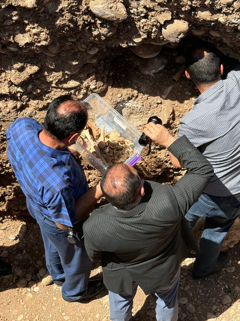 ئەو ئێسک و پروسکانەی لە پڕۆژەی دووسایدی رۆڤیا دۆزرانەوە، هی دوو گۆڕن 