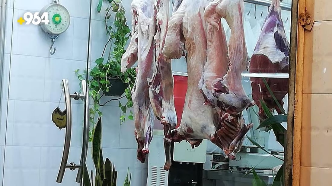 964mediaصورة من منصة (شبكة): 