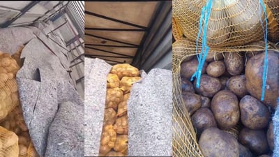 دوو بارهەڵگر پەتاتە دەستیان بەسەرداگیرا