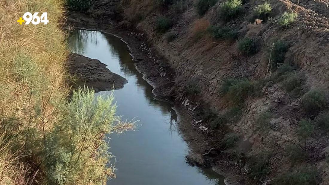 964mediaصورة من منصة (شبكة): 