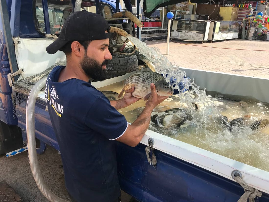 الكوت: أسعار السمك ترتفع مع حصر خزين الأنهار بالاستخدام المنزلي ومنعها عن الأحواض