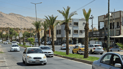 لە کۆیە سێ ساڵە درەخت هێمایەکى هاتوچۆى شاردووەتەوە