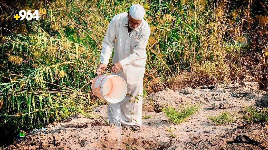 964mediaصورة من منصة (شبكة): 